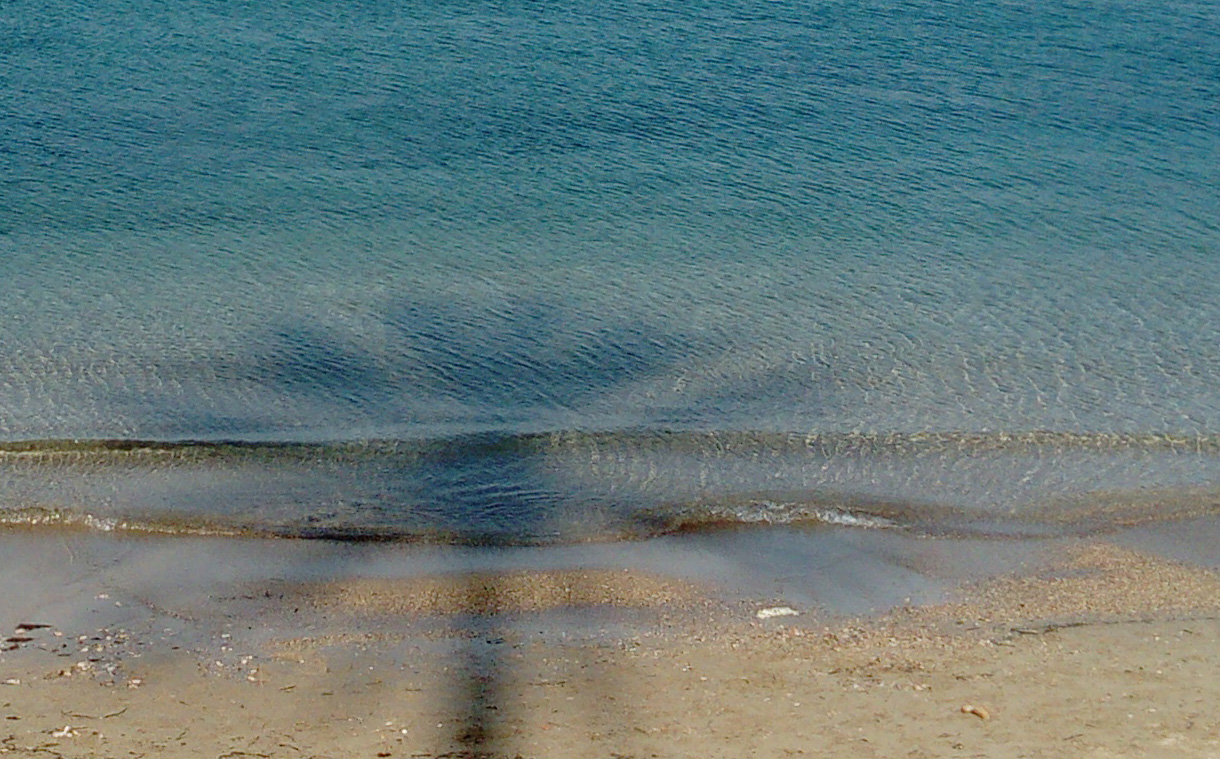 Wasser